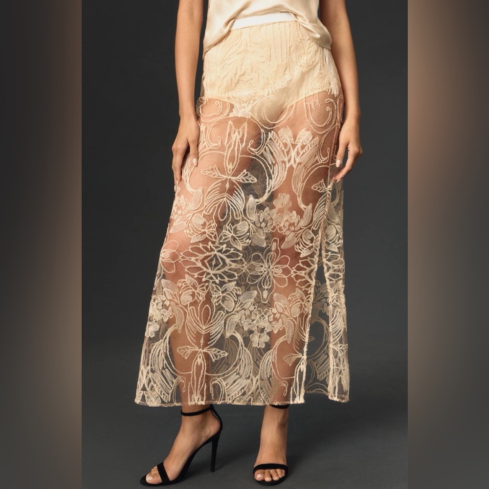 NWT Anthropologie Sheer Embroidered Skirt Size L NEW